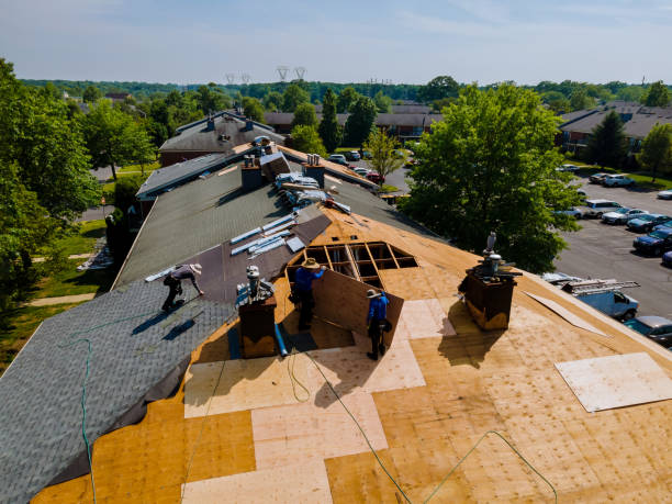 Quick and Trustworthy Emergency Roof Repair Services in Springfield, FL