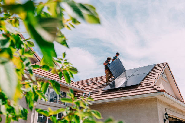 Best Flat Roof Repair Services  in Springfield, FL