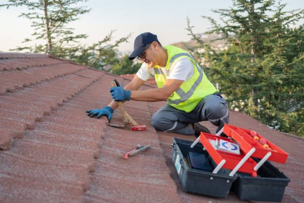 Roof Gutter Cleaning in Springfield, FL